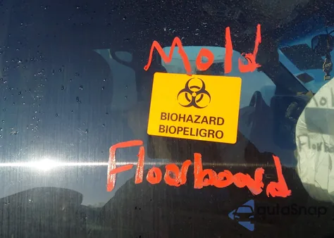 2002 Chevrolet Avalanche 1500 из США, поврежденный, VIN 3GNEC13T42G219932